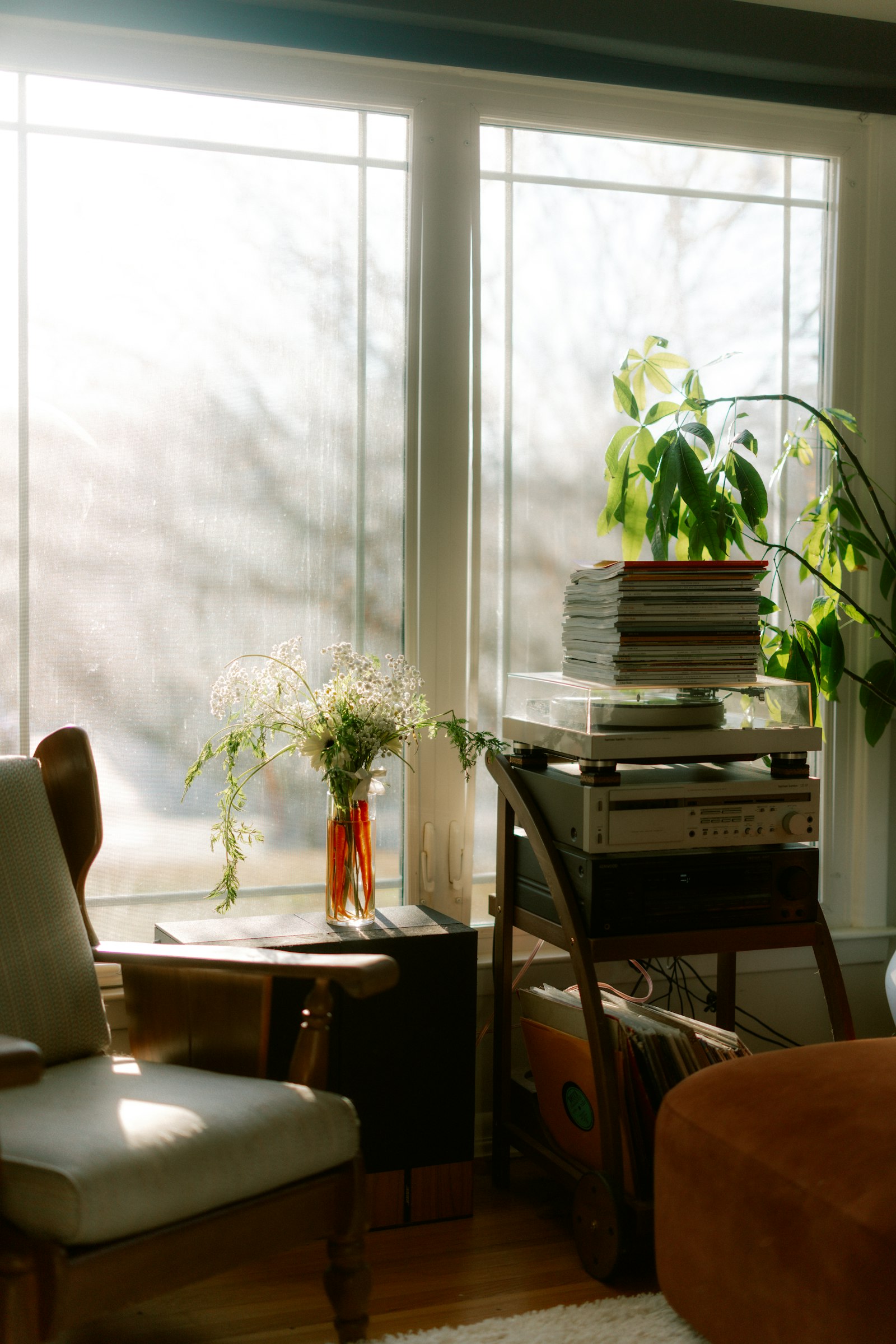 Warm counseling room with natural light and plants